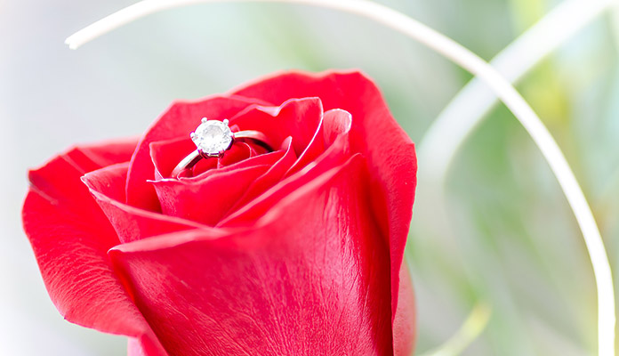 Rote Rosen als kleine Aufmerksamkeit zum Valentinstag: Für manch einen wird es dieses Jahr ernster. (Bild: pixabay / Goumbik)