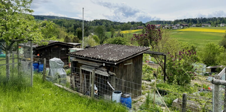 Der Hobbygärtner Verein Zumikon betreibt zwei Schrebergartenanlagen auf gemeindeeigenem Boden. (Bild: bms)