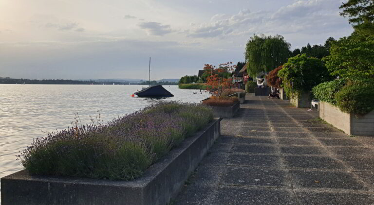 Direkter Zugang zum Zürichsee in Zollikon. (Bild: cef)