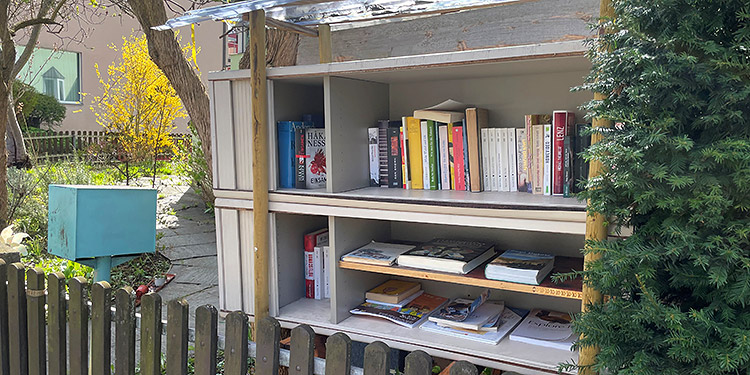 Vor Wind und Wetter geschützt warten die Bücher an der Forchstrasse auf Leserinnen und Leser. (Bild: bms)